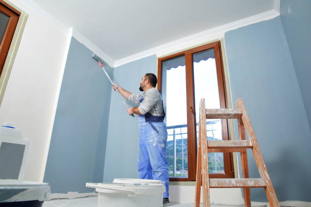 Best Industrial Mold Remediation  in Clearwater, MN