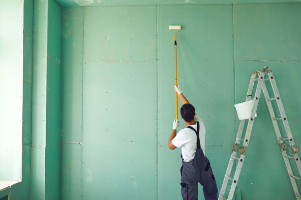 Best Mold Damage Restoration  in Clearwater, MN