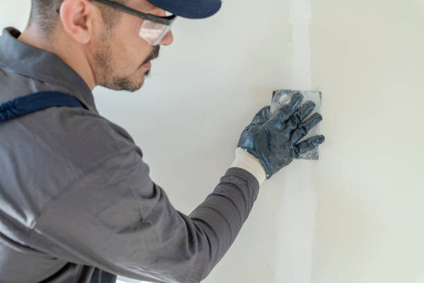 Best Mold Prevention Services  in Clearwater, MN