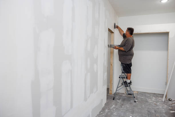 Clearwater, MN Mold Removal Company