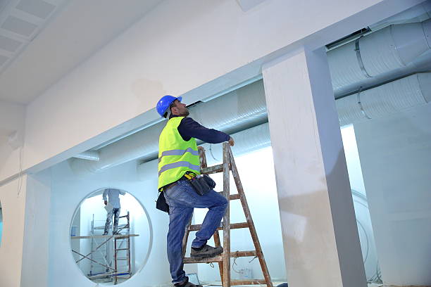 Best Asbestos and Lead Testing During Mold Inspection  in Clearwater, MN