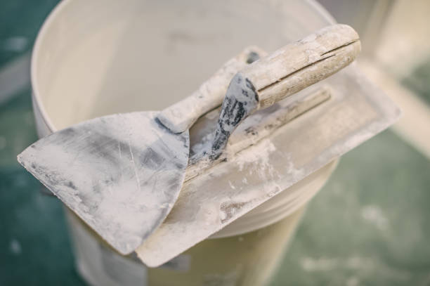 Best Biohazard Mold Removal  in Clearwater, MN